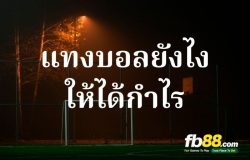howtobet